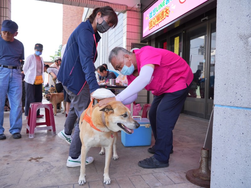吉安鄉狂犬病疫苗巡迴注射服務開跑 游淑貞籲飼主配合施打守護毛孩健康